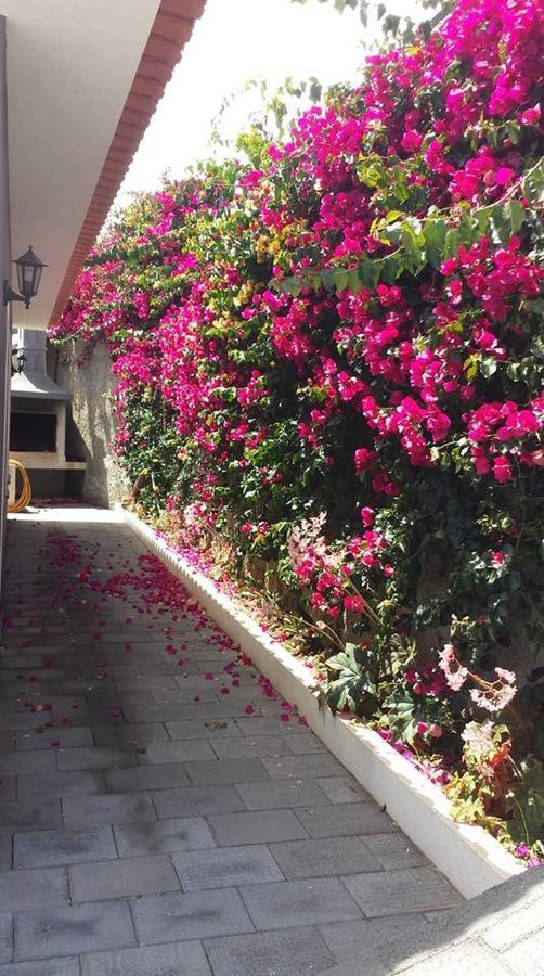 Paraiso Das Flores Estreito Da Calheta Exterior foto